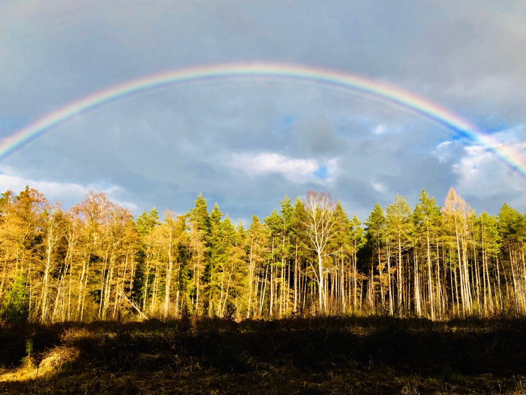 stille Beisetzung, Regenbogen, CR Trauerredner, Carsten Riedel, Trauerredner