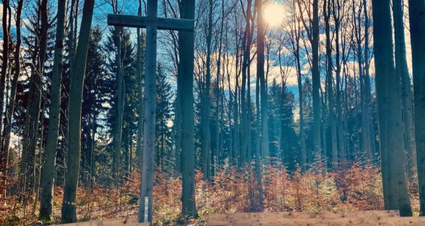 Beisetzung im Wald - Andachtsplatz im Waldfriedhof Zwickauer Land, Mülsen, kirchliche oder freie Trauerfeier