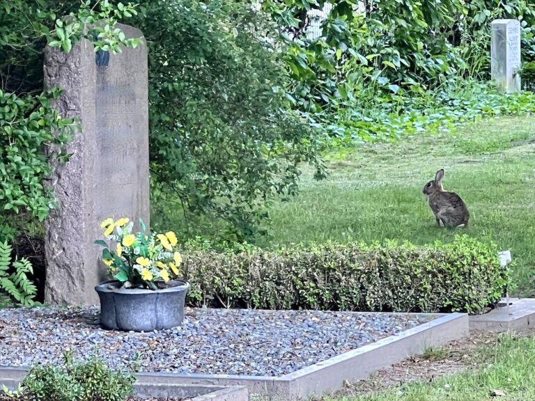 Gedanken zum Friedhofsbesuch crtrauerredner.de
