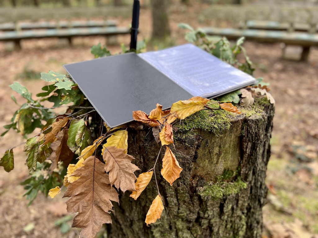 Trauerrednerausbildung im Oktober, Rednermappe auf Baumstamm Friedwald Waldenburg, Andachtsplatz