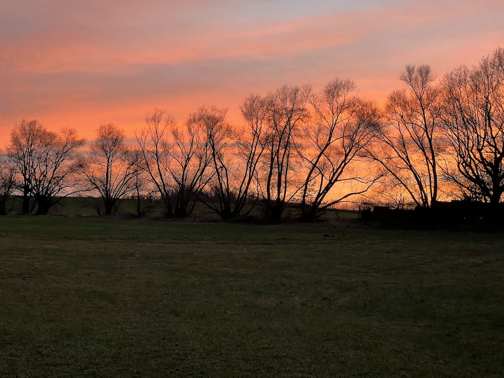 Landschaft, Römertal Ruppertsgrün
