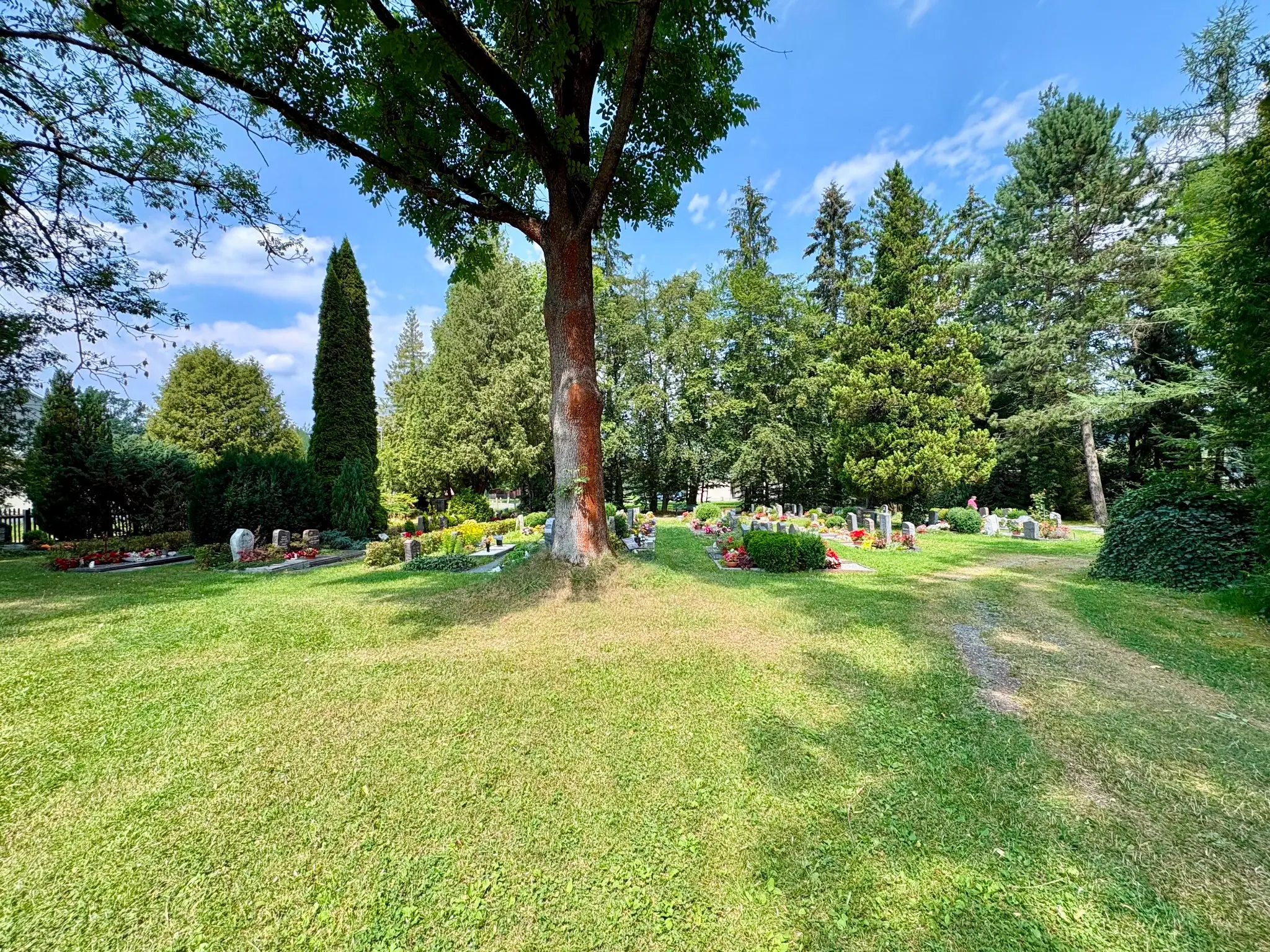 Weitläufiger Johannisfriedhof Adorf mit altem Baumbestand und gepflegten Gräbern