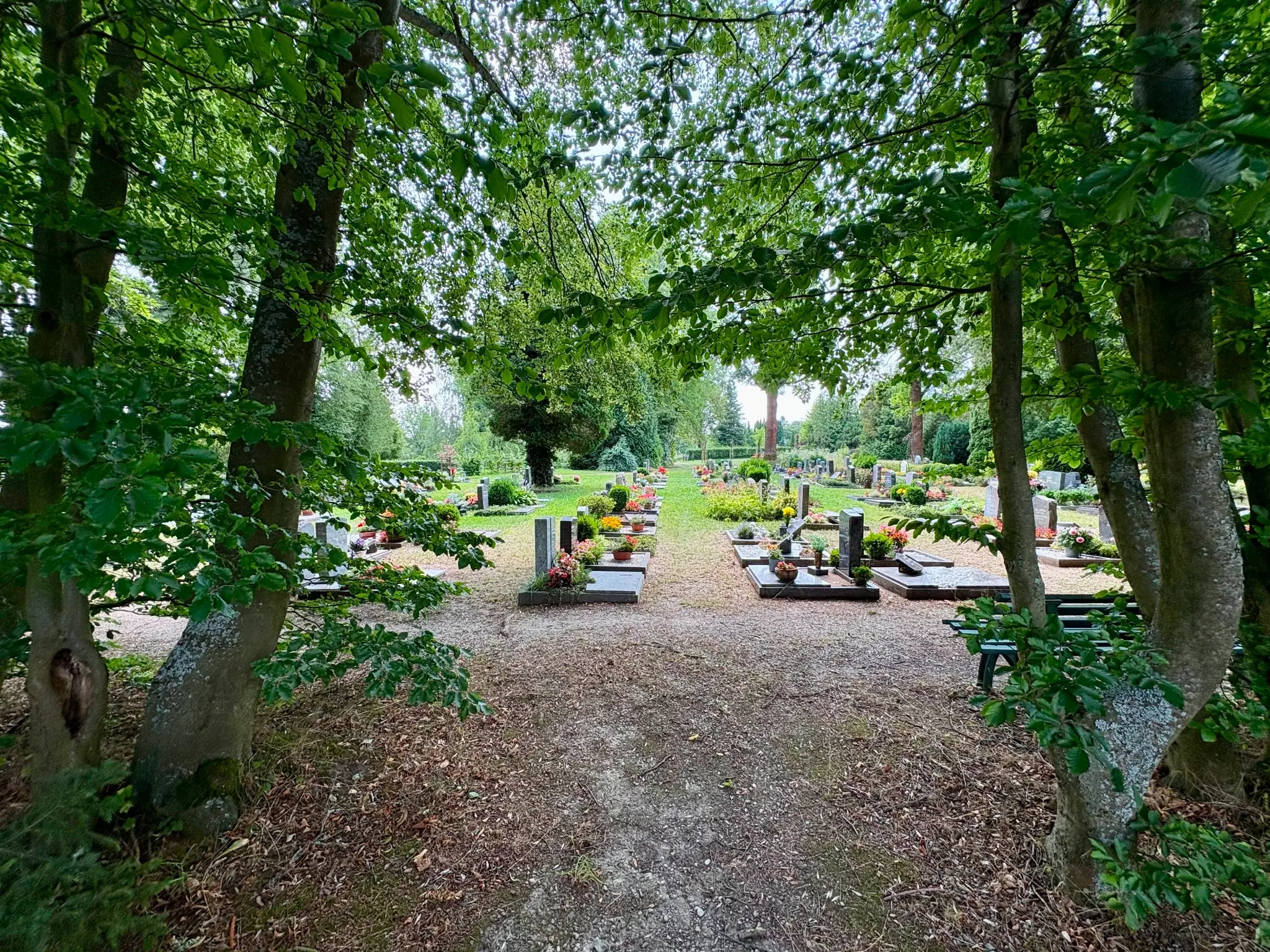 Grüne Grabfelder unter altem Baumbestand auf dem Johannisfriedhof Adorf